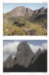 The Abels Volume 2 Page 50